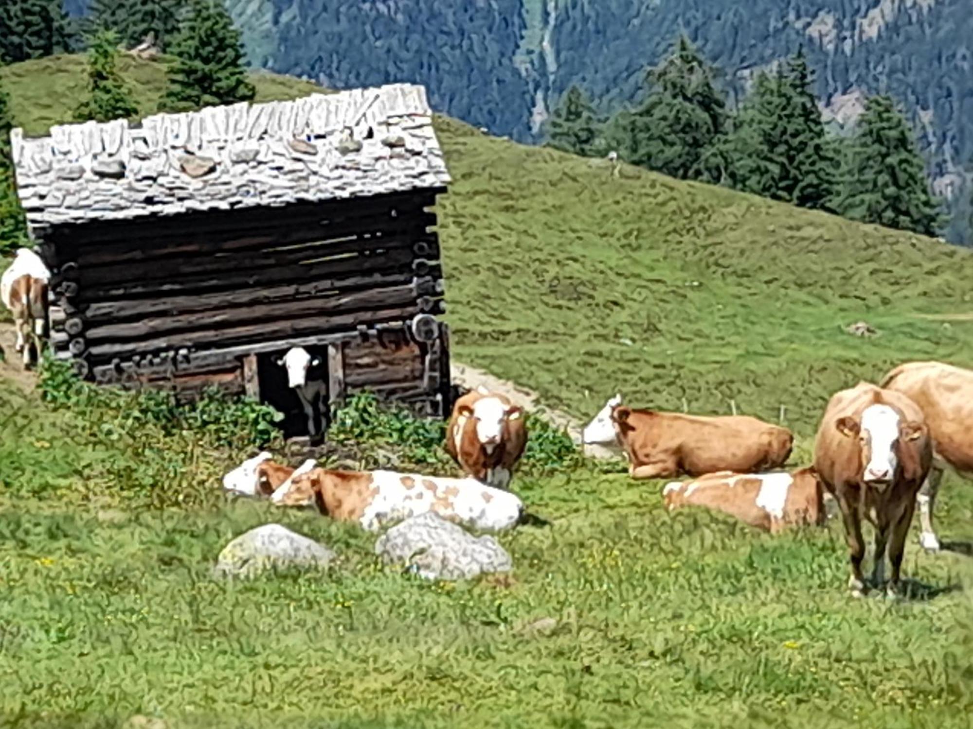 Ferienhaus Grofn Matrei in Osttirol Extérieur photo